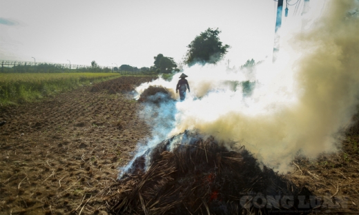 Hà Nội: Việc đốt rơm rạ làm phát sinh 163,3 tấn bụi mịn và 23.000 tấn CO2