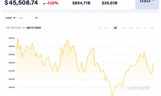 Giá Bitcoin hôm nay 11/8: Điều chỉnh về quanh 45.500 USD