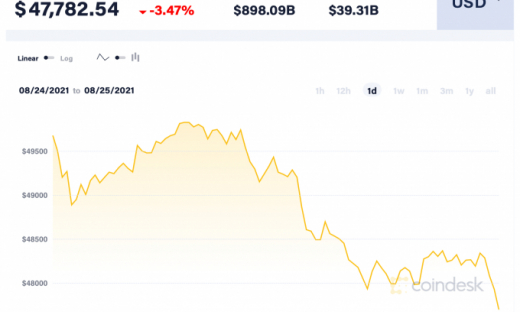 Giá Bitcoin hôm nay 25/8: Trượt về mức 48.000 USD