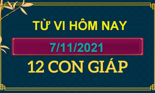 Tử vi hôm nay 7/11/2021 chủ nhật ngày 3/10 âm lịch của 12 con giáp