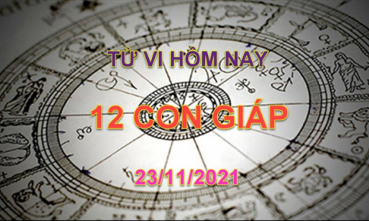 Tử vi hôm nay 23/11/2021, thứ 3 ngày 19/10 âm lịch của 12 con giáp