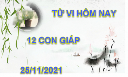 Tử vi hôm nay 25/11/2021, thứ 5 ngày 21/10 âm lịch của 12 con giáp