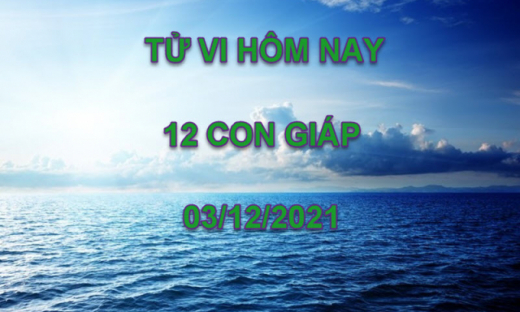 Tử vi hôm nay 3/12/2021, thứ 6 ngày 29/10 âm lịch của 12 con giáp