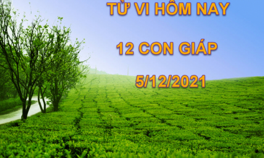 Tử vi hôm nay 5/12/2021, chủ nhật ngày 2/11 âm lịch của 12 con giáp