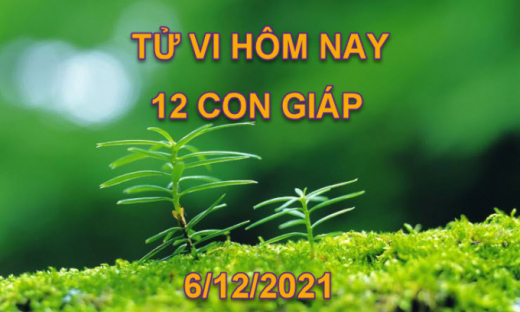 Tử vi hôm nay 6/12/2021, thứ 2 ngày 3/11 âm lịch của 12 con giáp