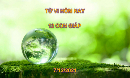 Tử vi hôm nay 7/12/2021, thứ 3 ngày 4/11 âm lịch của 12 con giáp