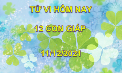 Tử vi hôm nay 11/12/2021, thứ 7 ngày 8/11 âm lịch của 12 con giáp