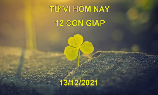 Tử vi hôm nay 13/12/2021, thứ 2 ngày 10/11 âm lịch của 12 con giáp