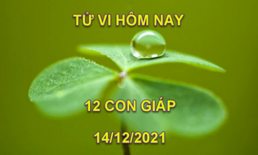 Tử vi hôm nay 14/12/2021, thứ 3 ngày 11/11 âm lịch của 12 con giáp