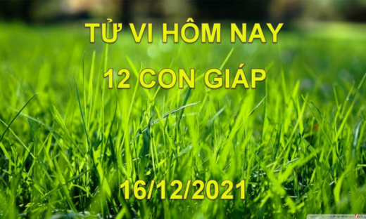 Tử vi hôm nay 16/12/2021, thứ 5 ngày 13/11 âm lịch của 12 con giáp