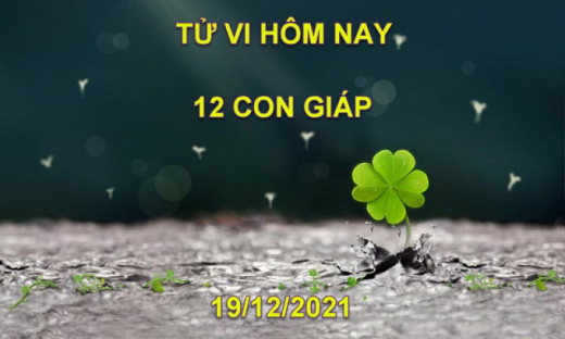 Tử vi hôm nay 19/12/2021, chủ nhật ngày 16/11 âm lịch của 12 con giáp