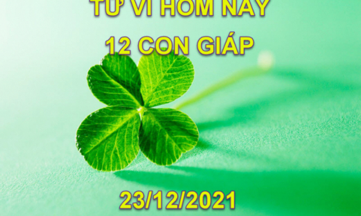 Tử vi hôm nay 23/12/2021, thứ 5 ngày 20/11 âm lịch của 12 con giáp