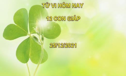 Tử vi hôm nay 25/12/2021, thứ 7 ngày 22/11 âm lịch của 12 con giáp