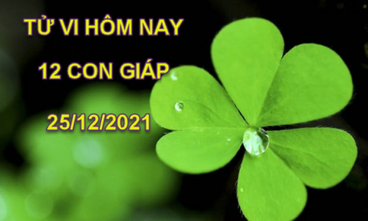 Tử vi hôm nay 26/12/2021, Chủ nhật ngày 23/11 âm lịch của 12 con giáp