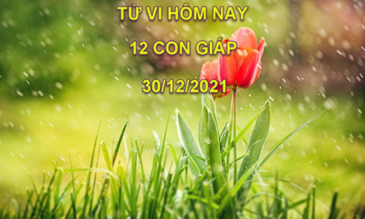 Tử vi hôm nay 30/12/2021, thứ 5 ngày 27/11 âm lịch của 12 con giáp