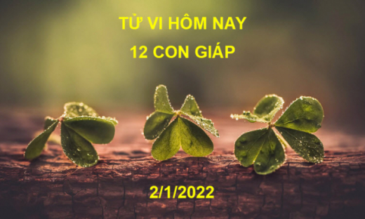 Tử vi hôm nay 2/1/2022, Chủ nhật ngày 30/11 âm lịch của 12 con giáp