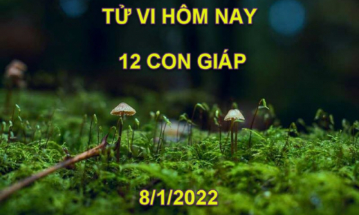 Tử vi hôm nay 8/1/2022, thứ 7 ngày 6/12 âm lịch của 12 con giáp