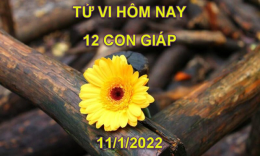 Tử vi hôm nay 11/1/2022, thứ 3 ngày 9/12 âm lịch của 12 con giáp