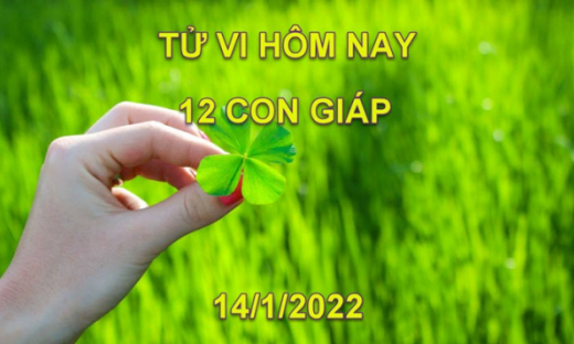 Tử vi hôm nay 14/1/2022, thứ 6 ngày 12/12 âm lịch của 12 con giáp