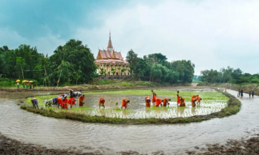 Triển khai hiệu quả Chương trình phát triển kinh tế - xã hội vùng đồng bào dân tộc thiểu số tại ĐBSCL