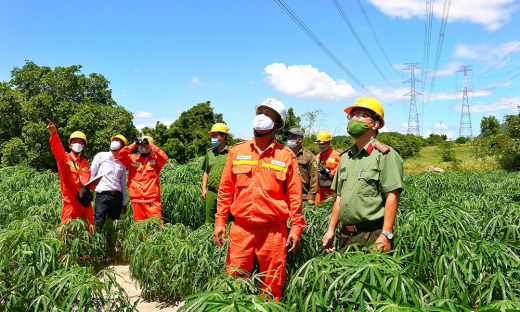 EVN đã đảm bảo cung cấp điện an toàn, ổn định trong dịp Lễ Quốc khánh 2/9/2022