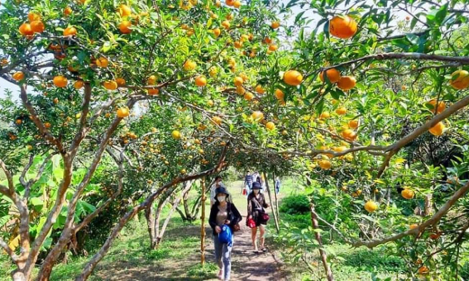 Phát triển sản phẩm OCOP gắn với du lịch: Hướng đi mới của Quảng Ninh