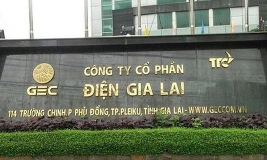 Điện Gia Lai nợ phải trả chiếm gần 70% cơ cấu nguồn vốn, bị phạt và truy thu thuế 215 triệu đồng