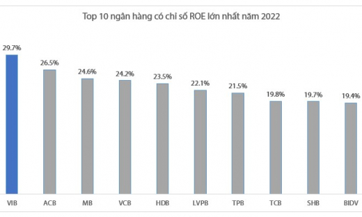 Những ngân hàng có ROE cao nhất năm 2022: VIB là quán quân, BIDV bứt tốc vào Top 10