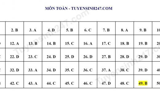 Đáp án và bình luận đề thi tham khảo môn Toán - Kỳ thi tốt nghiệp THPT 2023