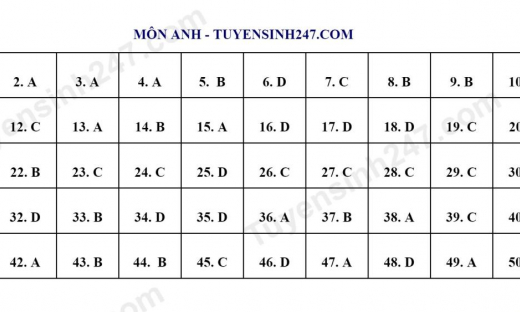 Nhận định đề và đáp án đề thi tham khảo môn Tiếng Anh Kỳ thi tốt nghiệp THPT 2023