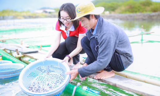 Agribank: Người bạn đồng hành cùng ngư dân vươn khơi, bám biển