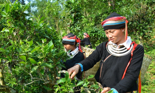 Tuyên Quang: Đẩy mạnh tuyên truyền, vận động xóa bỏ nạn tảo hôn và hôn nhân cận huyết thống