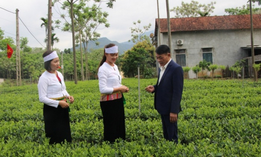 Hà Nội hỗ trợ 13 xã vùng dân tộc thiểu số, miền núi phát triển kinh tế - xã hội