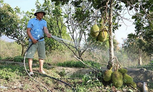 Giảm dần khoảng cách phát triển giữa các vùng, các dân tộc