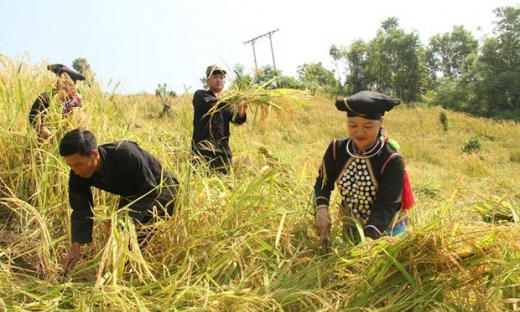 Kiến nghị tạo điều kiện sớm bố trí nguồn vốn chương trình cho vay giải quyết việc làm