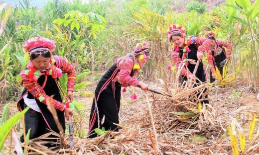 Kinh nghiệm trong triển khai thực hiện Chương trình phát triển kinh tế-xã hội vùng đồng bào dân tộc thiểu số và miền núi