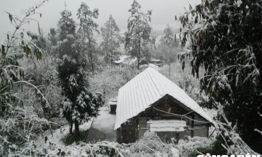 Núi Fansipan Sa Pa khả năng sẽ xuất hiện mưa tuyết trong dịp Tết