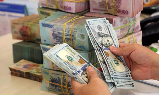 Tỷ giá USD có thể tăng 1,5% trong năm 2024