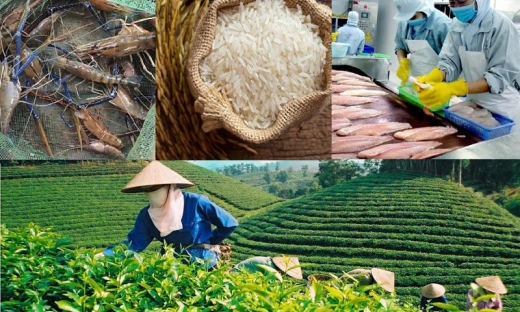 Xây dựng, bảo hộ thương hiệu nông sản Việt: Muộn còn hơn không!