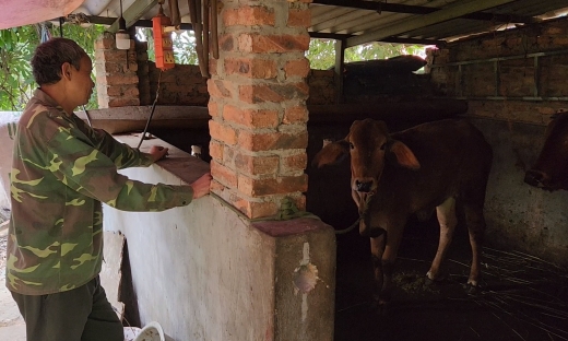 Việt Yên (Bắc Giang): “Dở khóc, dở cười” chuyện hỗ trợ con giống dự án giảm nghèo tại xã Tiên Sơn
