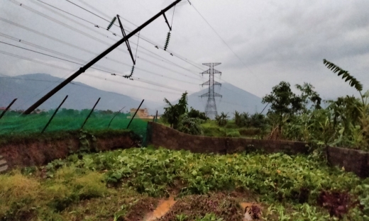 Tổng công ty Điện lực miền Bắc khắc phục sự cố do mưa lớn và lốc xoáy tại một số tỉnh miền núi phía Bắc