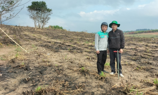 NPK Phú Mỹ gắn kết 'Đất màu mỡ - Mía ngọt ngào”