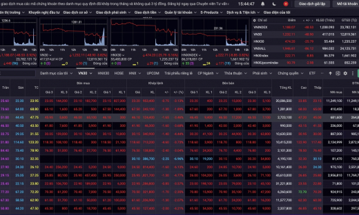 VN-Index 'bốc hơi' gần 50 điểm, nhà đầu tư hoảng hốt