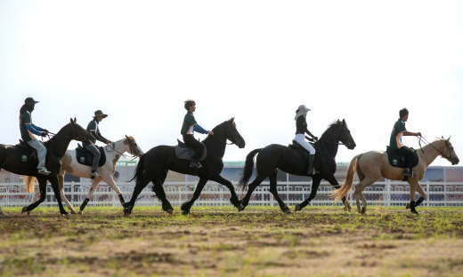 Loài ngựa cao nhất thế giới chào đời tại Vinpearl Horse Academy