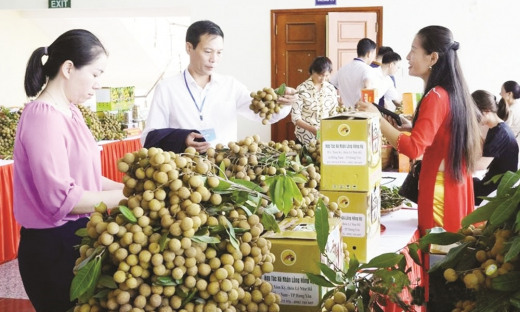 Tổng thu ngân sách cả năm 2024 của tỉnh Hưng Yên ước đạt 39.446 tỷ đồng