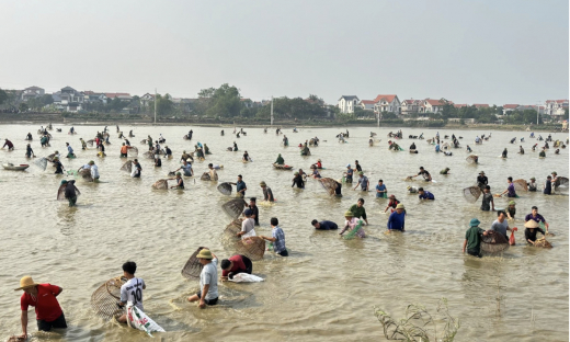 Hội bắt cá làng Phú Hậu: Sắc màu văn hóa từ đồng quê Vĩnh Phúc