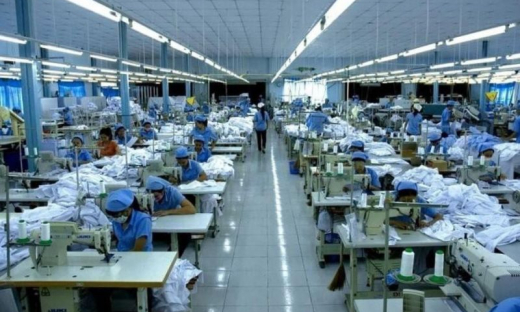 Gilimex (GIL) chậm kế hoạch năm 2024, nộp gần 4 tỷ đồng do vi phạm về thuế