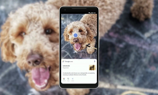 Bạn có thể tìm kiếm hình ảnh trên thiết bị Android thông qua ứng dụng Google Lens