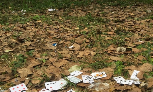 Đồng Nai: Triệt phá tụ điểm đánh bạc trong rừng tràm của Khanh Philip, tạm giữ 56 đối tượng