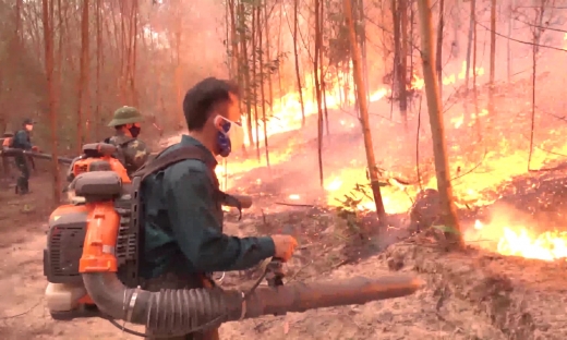 Nghệ An: Trắng đêm chữa cháy rừng